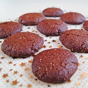 Christmas Spice Protein Cookies